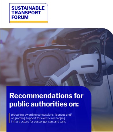STF Recommendations report for public authorities 