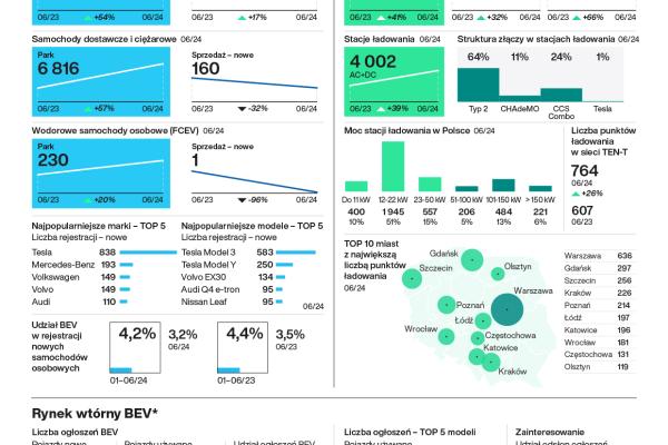 June 2024 Polish Electric Vehicle Market Overview image