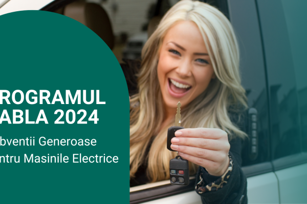 Romania’s Evolving New-Car Market: Assessing the Role of Incentives (Rabla Plus Program) image