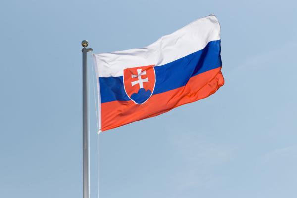 Electric Vehicle Fleet in Slovakia Surpasses 15,000 Units image
