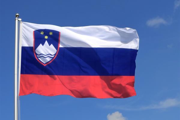 Slovenia 2024: Car Market Up 8%, Yet EV Registrations Slide by 27% image