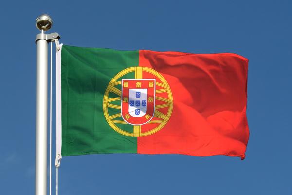 Portugal January 2025: BEVs Reach Record 22.5% Market Share image