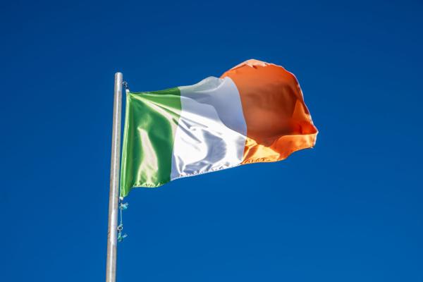 Ireland: 23.6% decline in new EV registrations image