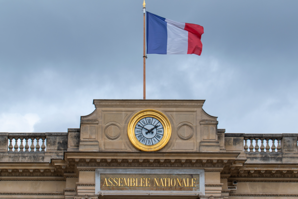 France January 2025: EV Market Share at 19.4% image