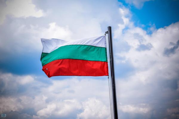 Bulgaria: Total EV stock grew by 53,5% in 2024 image