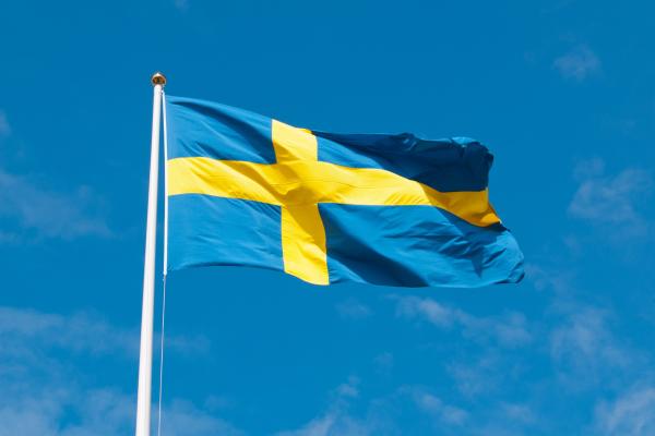 Sweden Proposes Targeted EV Purchase Subsidy for Rural Households image